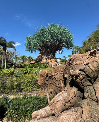 Tree of life from a distance
